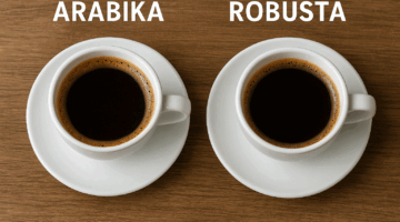 Jika Diracik Tanpa Campuran Jenis Kopi Mana Yang Paling Enak Arabika Atau Robusta