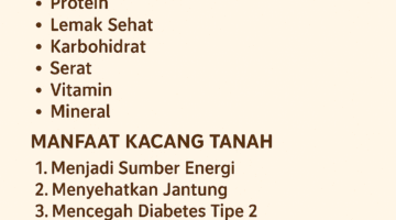 Kacang Tanah: Sumber Protein Nabati yang Kaya Manfaat