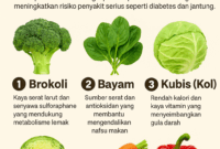 Inilah Sayuran yang Ampuh Kurangi Lemak Visceral dan Perut Buncit