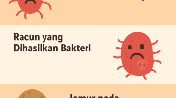 Maraknya Kasus Keracunan MBG, Waspadai Bahaya Makanan Basi