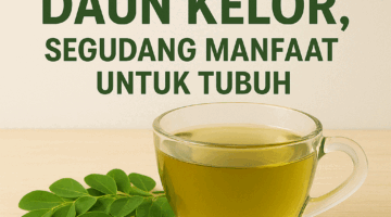 Manfaat Teh Daun Kelor untuk Kesehatan: Rahasia Herbal yang Kaya Nutrisi dan Antioksidan