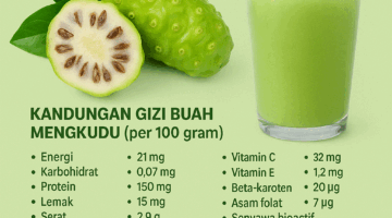 Buah Mengkudu: Si Pahit Kaya Gizi dan Berkhasiat untuk Kesehatan Tubuh