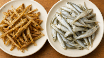 Ikan Teri, Sumber Kalsium dan Protein Alami dari Laut Indonesia